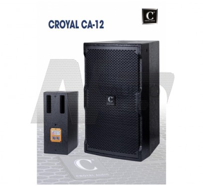 Loa CROYAL CA12